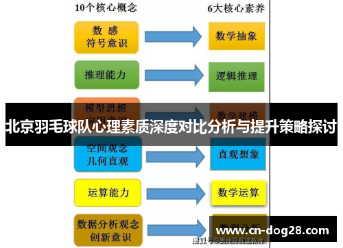 北京羽毛球队心理素质深度对比分析与提升策略探讨
