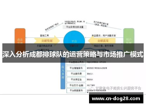 深入分析成都排球队的运营策略与市场推广模式