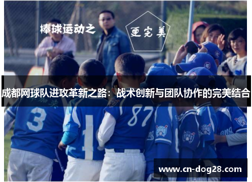 成都网球队进攻革新之路：战术创新与团队协作的完美结合