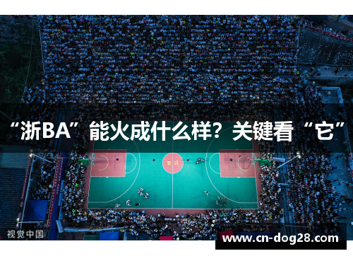 “浙BA”能火成什么样？关键看“它”！