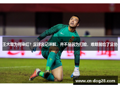 王大雷为何染红？足球名记详解，并不是因为打脸，难题抛给了足协
