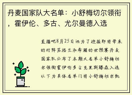 丹麦国家队大名单：小舒梅切尔领衔，霍伊伦、多古、尤尔曼德入选